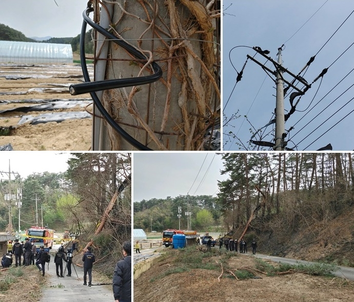 (사진제공=산림청)