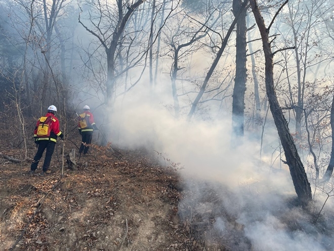 (사진제공=산림청)