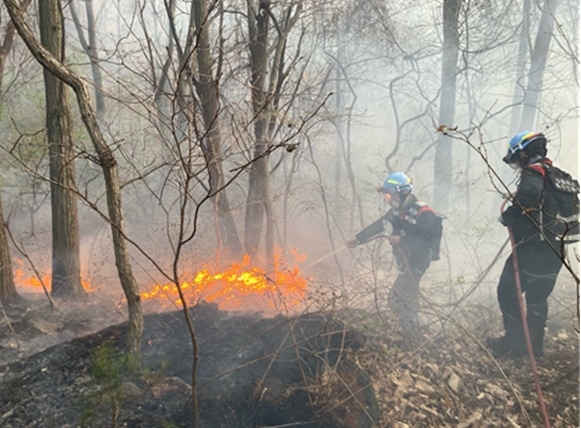(사진제공=산림청)