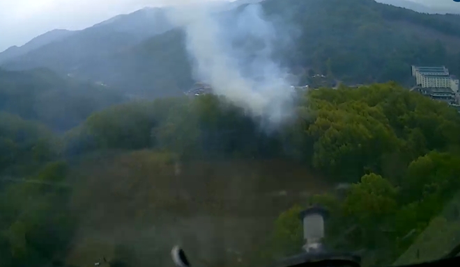 (사진제공=산림청)