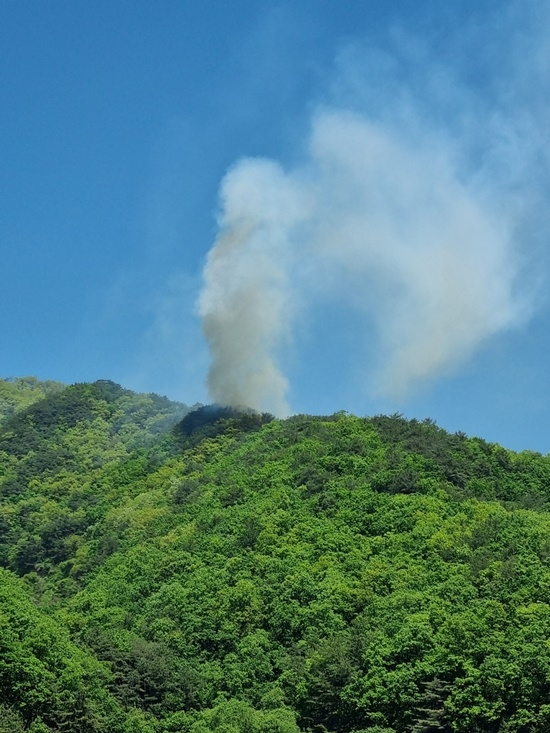 (사진제공=산림청)