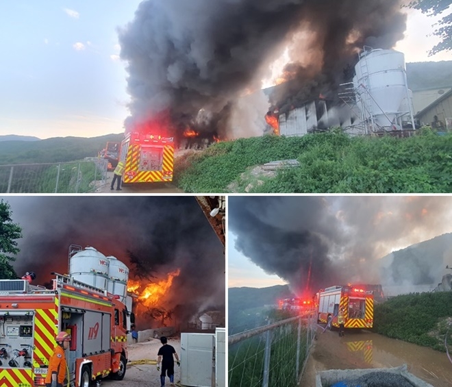 (사진제공=울산소방본부)