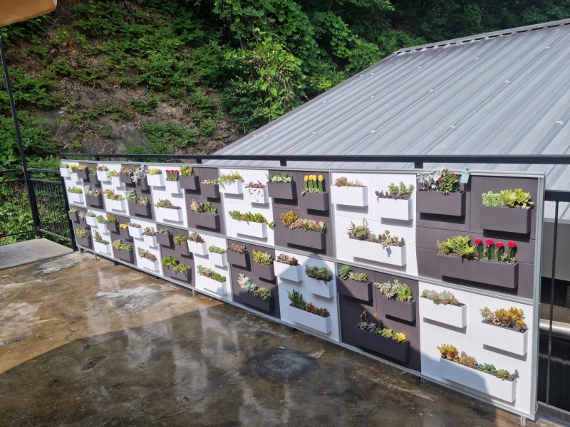 벽면녹화 패널(일리에콩브레)