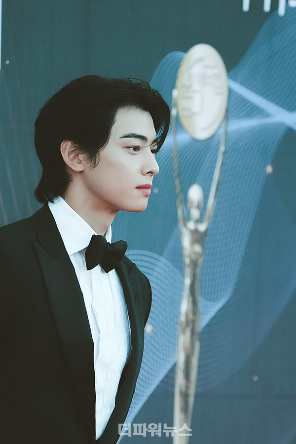 차은우,청룡시리즈어워즈레드카펫