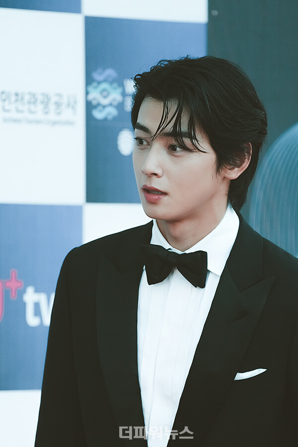 차은우,청룡시리즈어워즈레드카펫