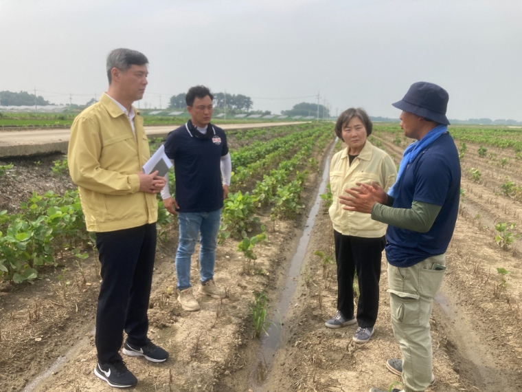 aT, 논콩 재배단지 집중호우 피해 현장 점검