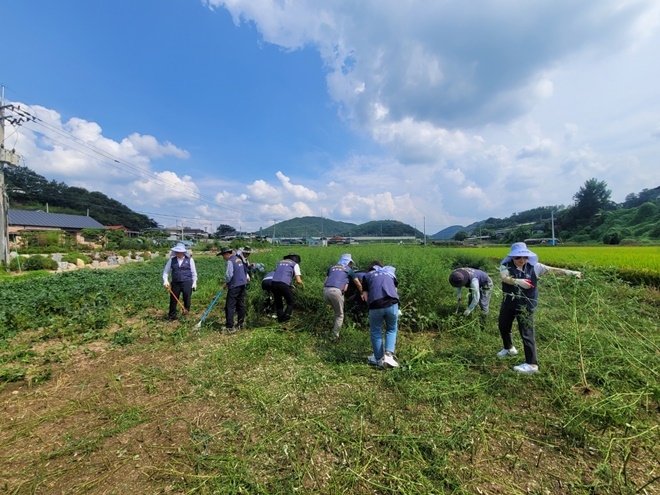 (사진제공=안동준법지원센터)