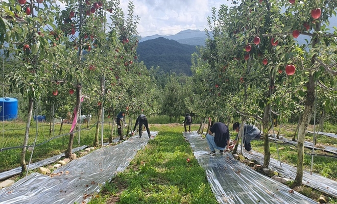 (사진제공=춘천보호관찰소)