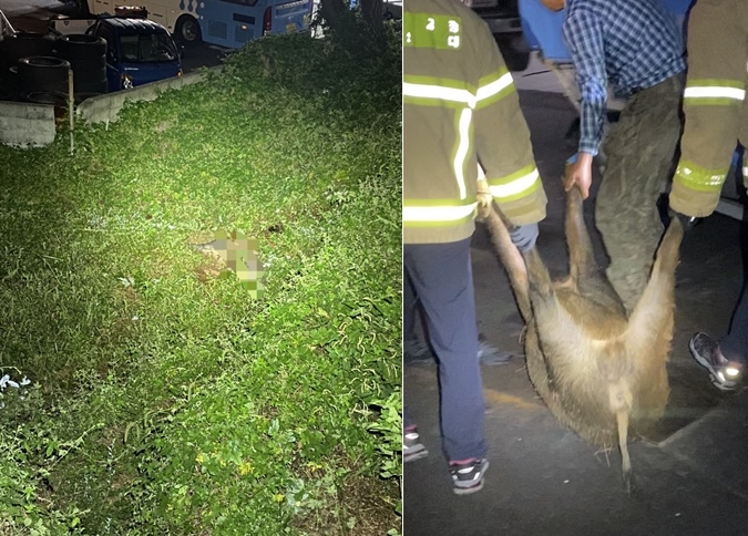 (사진제공=부산경찰청)