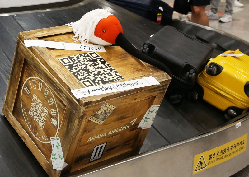 (사진=아시아나항공)