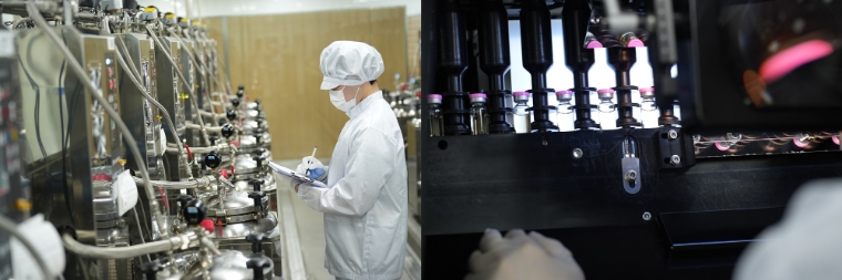 자생메디바이오센터의 자동화 탕전시스템(좌), 약침 이물검사 모습(우). 사진=자생한방병원