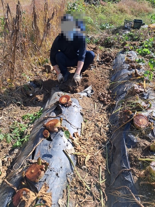 (사진제공=안양준법지원센터)