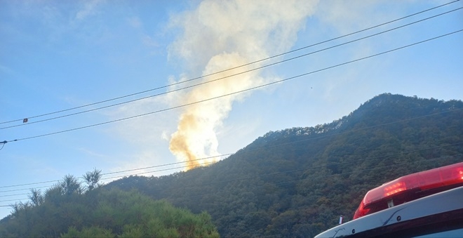 (사진제공=산림청)