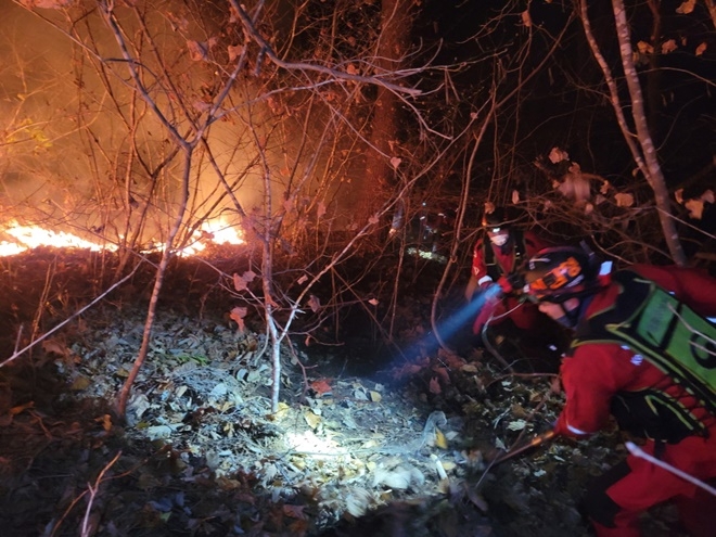 (사진제공=산림청)