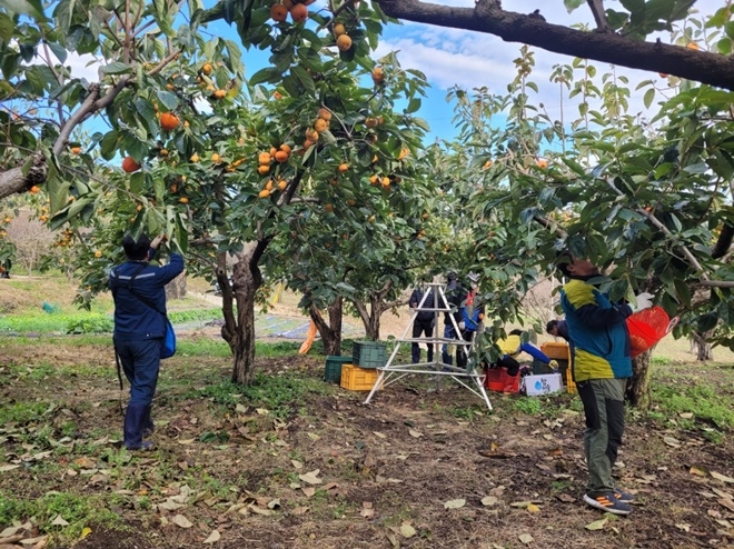 (사진제공=순천준법지원센터)
