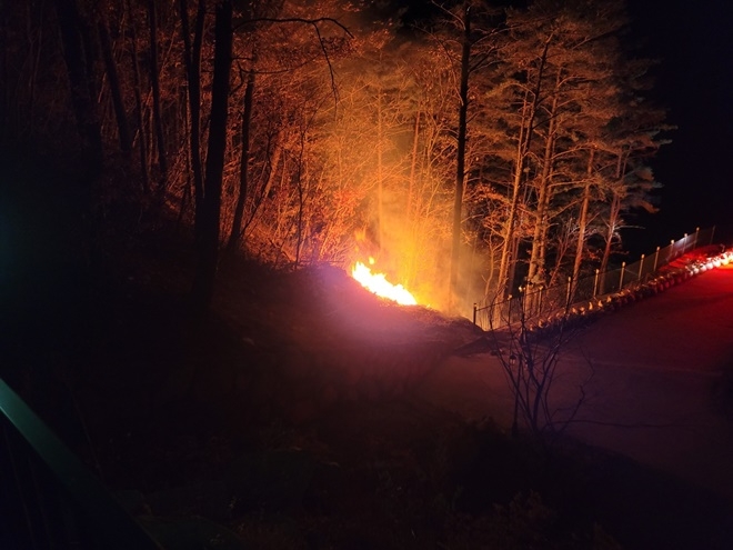 (사진제공=산림청)