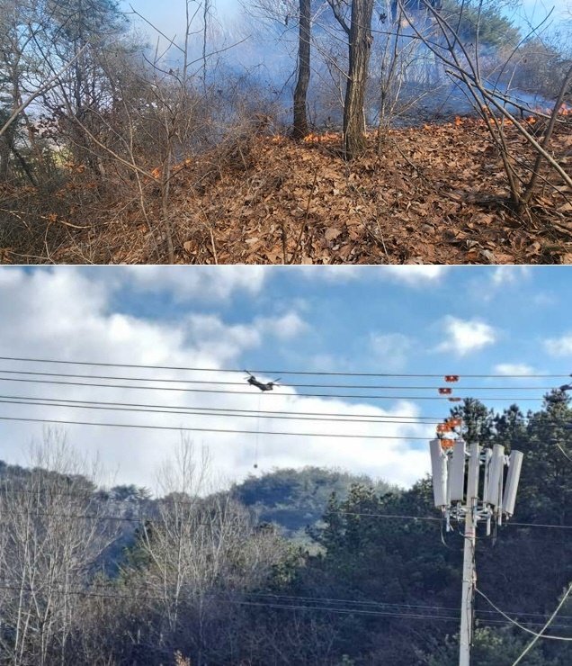 (사진제공=산림청)