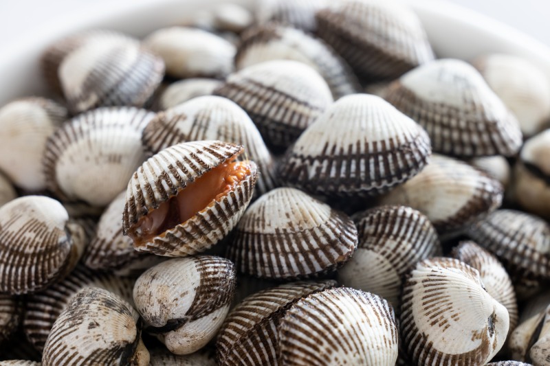 ‘꼬막’ 이미지.(사진=수협중앙회)