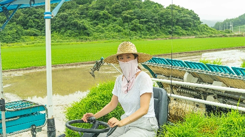 쿠팡, 마켓플레이스 판매자 신선식품 로켓배송 론칭