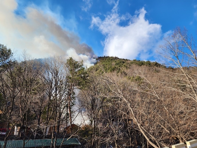 (사진제공=산림청)