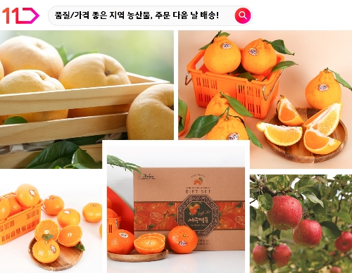 11번가, 농림부-aT 운영하는 ‘농산물 온라인도매시장’에서 거래 시작
