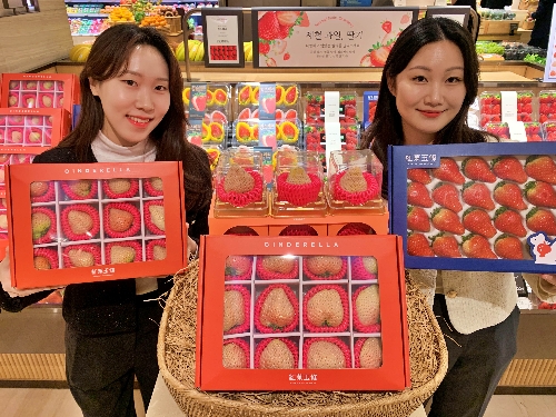 롯데백화점 ‘신데렐라 딸기’, ‘비타베리’ 산지 직송 판매