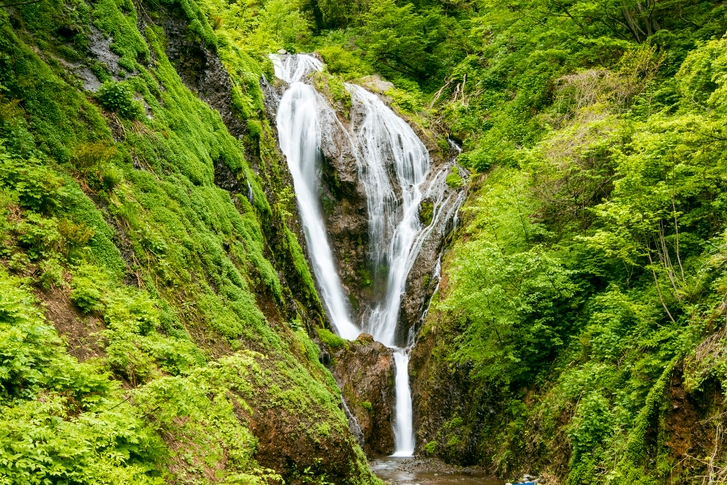 노랑풍선, 울릉도 쾌속선·크루즈 상품 선보여