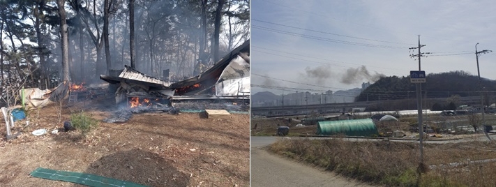 (사진제공=산림청)