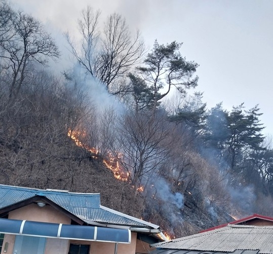(사진제공=산림청)