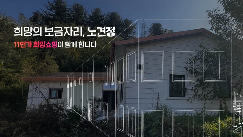 11번가,유기견 보호 캠페인 실시