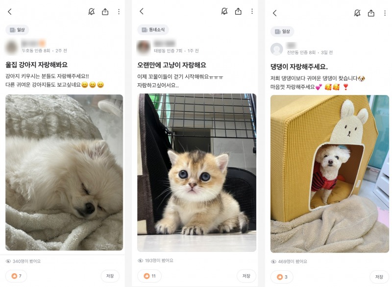 당근, 동네생활 게시판 토픽 TOP5' 발표