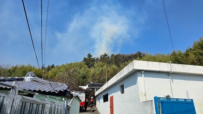 (사진제공=산림청)