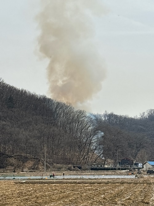 (사진제공=산림청)