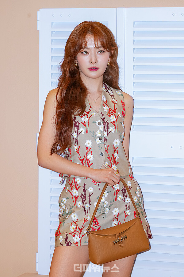 레드벨벳슬기,포토월행사