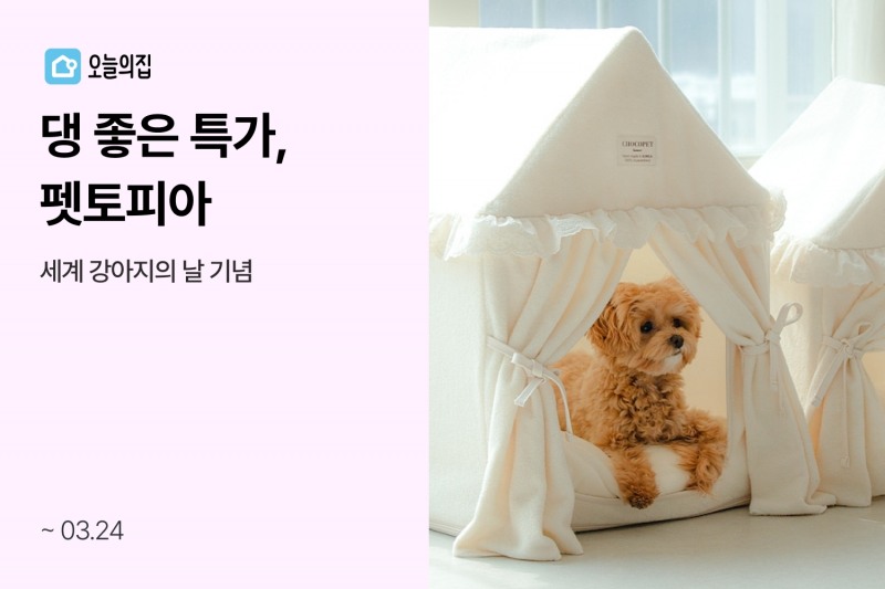 오늘의집, ‘댕 좋은 특가, 펫토피아’ 기획전 진행