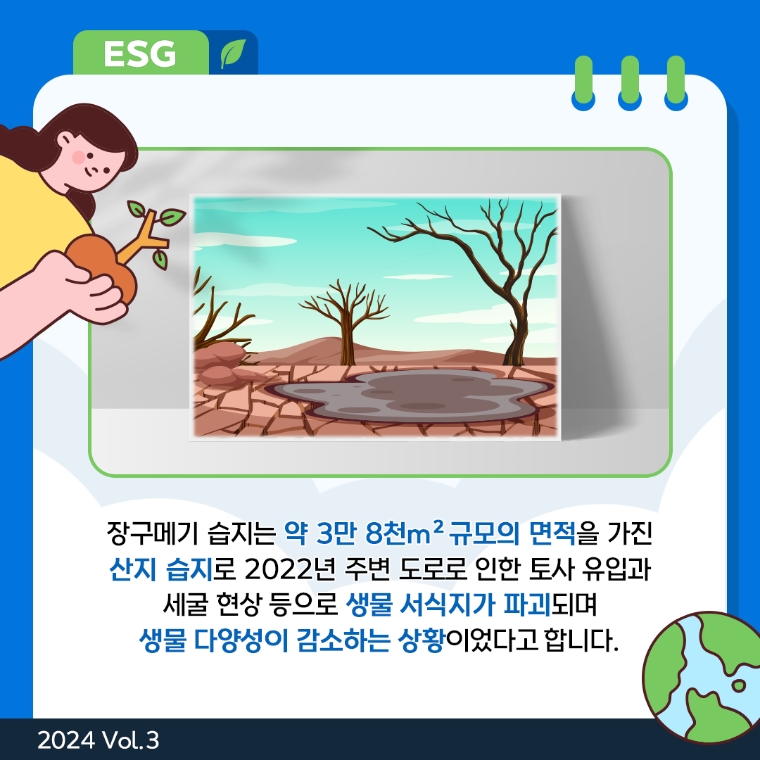 [카드뉴스] KT&G, 국립생태원과 '장구메기 습지 보존 공사' 완료