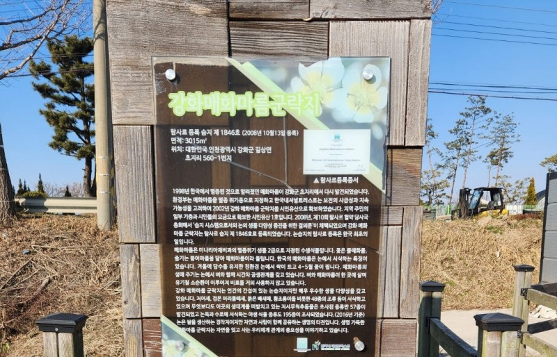 인천 강화매화마름 군락지 안내문