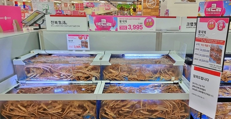 롯데마트, 창립 행사 기념 활 대게 할인 판매