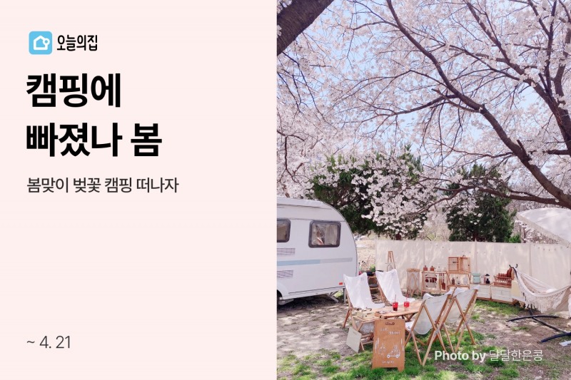 오늘의집, 캠핑&피크닉용품 특가전 진행