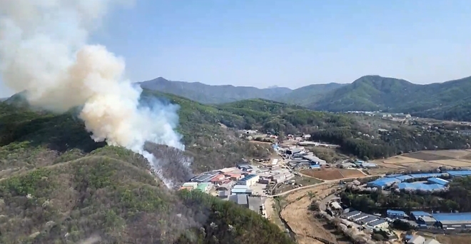 (사진제공=산림청)