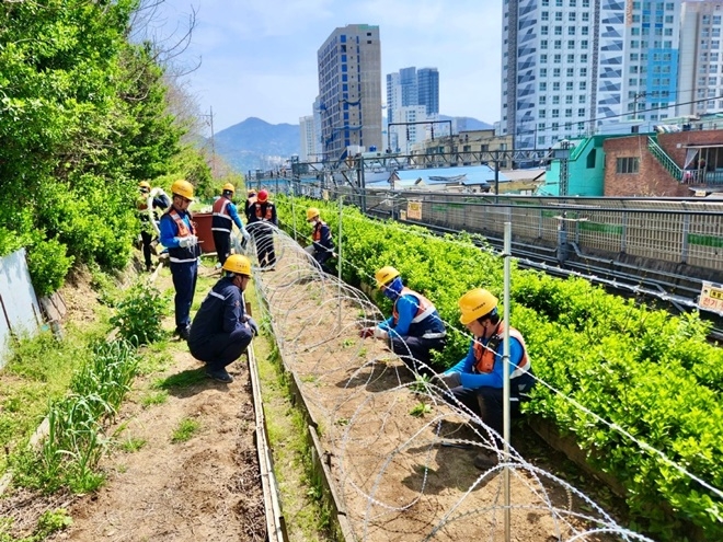 (사진제공=한국철도 부산경남본부)