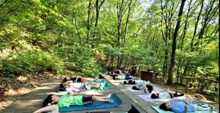 성남시가 ‘숲속 힐링’ 프로그램 운영하고 있다.