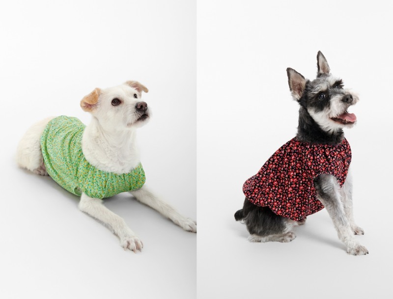 BYC, 개리야스 여름 신제품 사전예약판매 진행