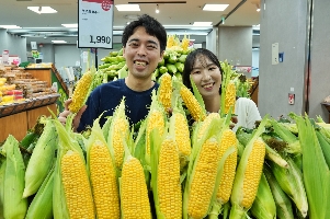 롯데마트∙슈퍼, ‘햇 초당 옥수수’ 판매