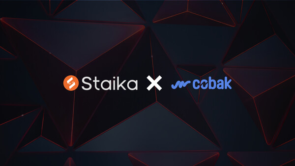 스타이카프로젝트, 판도라티비코박과 블록체인 기술지원 MOU 체결