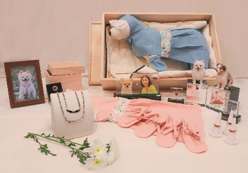 보람상조, 스카이펫으로 펫 생태계 본격 진입