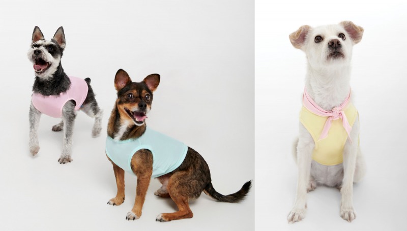 BYC, 개리야스 여름 신제품 공식 판매 돌입