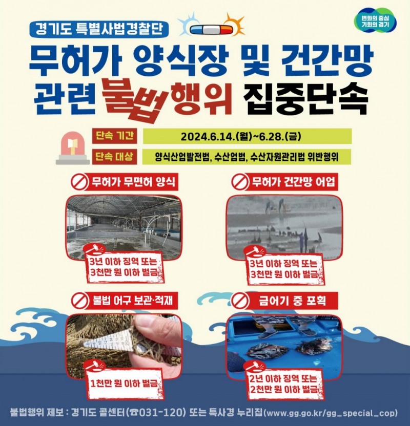 단속 대상 안내