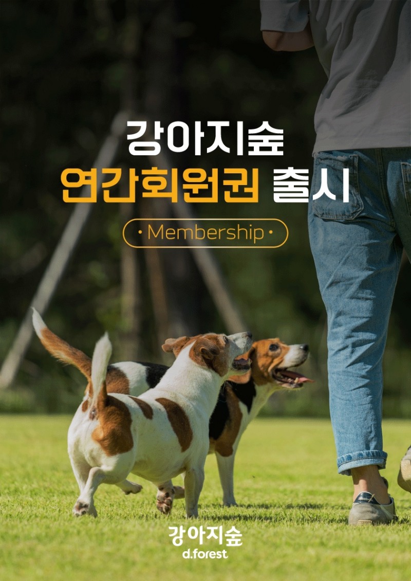 강아지숲 연간회원권 출시