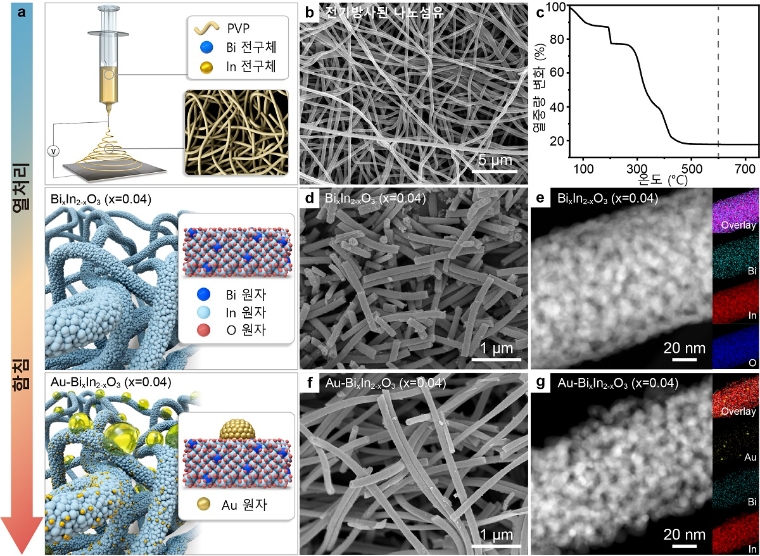 가시광활성 이산화질소 감지용 금(Au) 나노입자 결착 및 비스무스(Bi)가 도핑된 인듐산화물(Au-BixIn2-xO3) 나노섬유 소재 제작 과정. 사진=카이스트